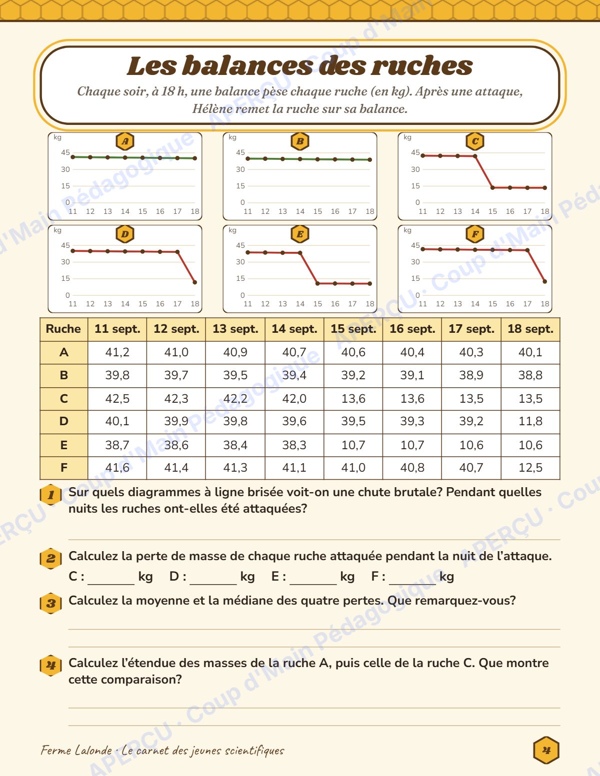 Page 4 — Enquête mathématique — 6e année, les ruches vides