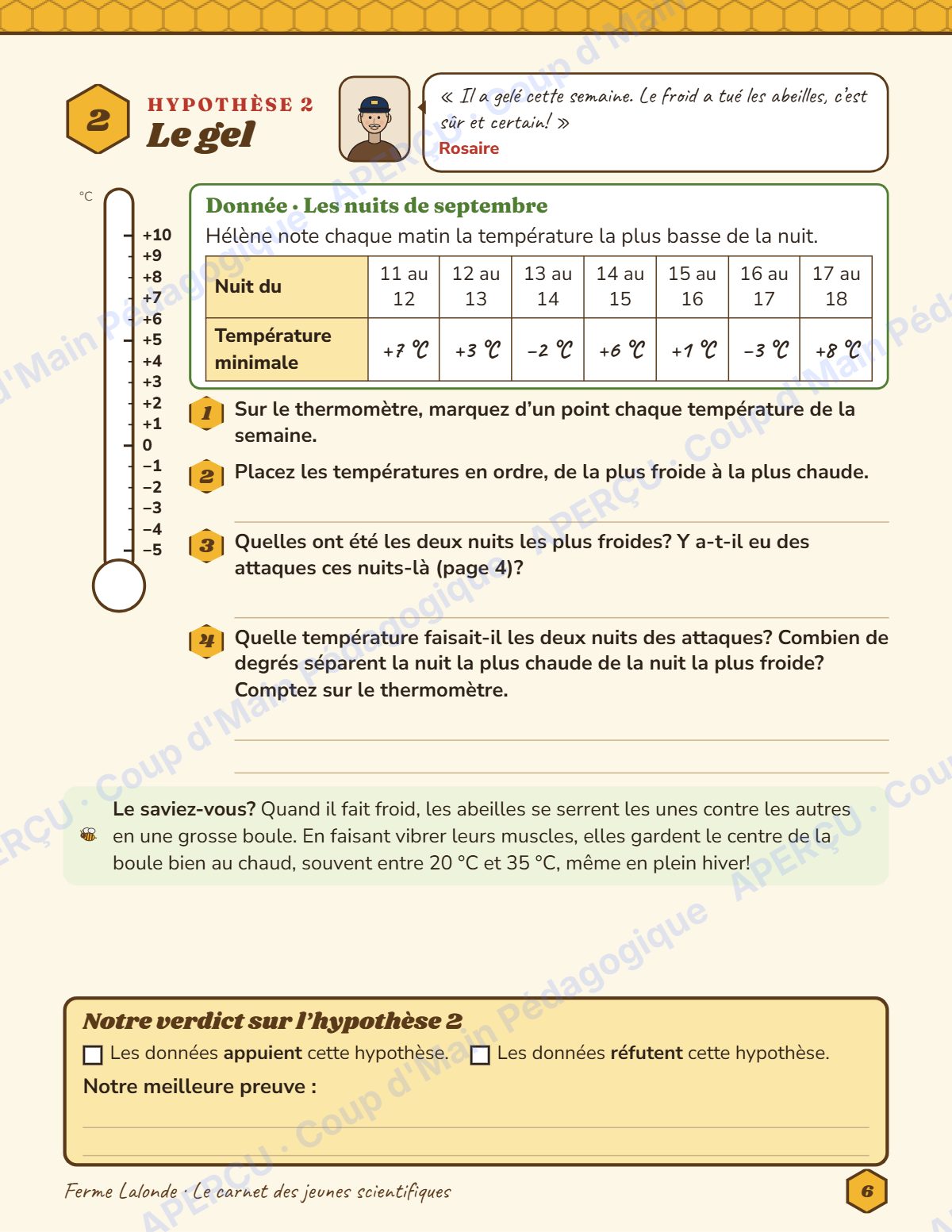 Page 6 — Enquête mathématique — 6e année, les ruches vides