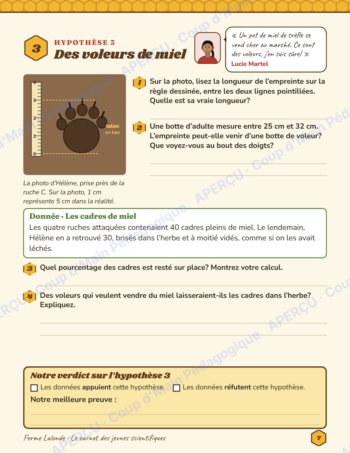 Page 7 — Enquête mathématique — 6e année, les ruches vides