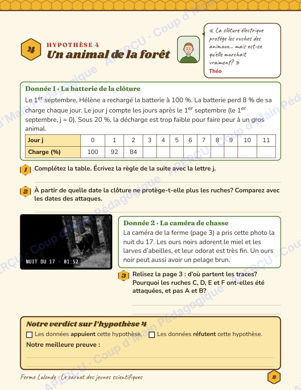Page 8 — Enquête mathématique — 6e année, les ruches vides