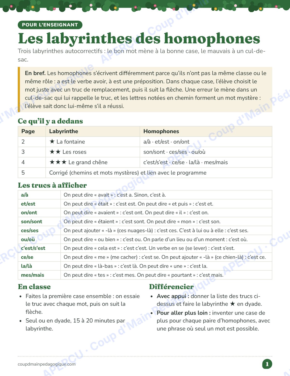 Page 1 — Labyrinthes des homophones — 3e-5e année, jeux