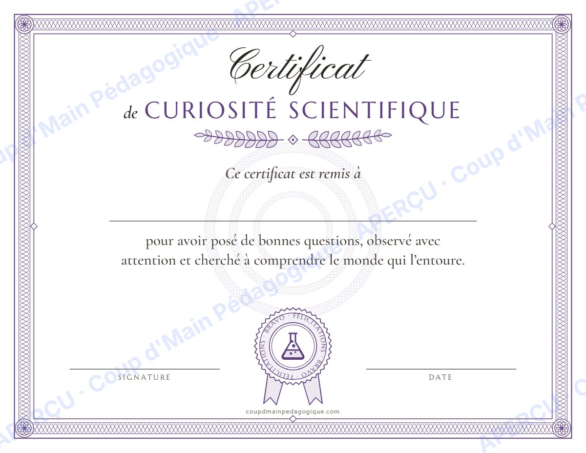 Page 8 — Certificats de félicitations — 2e-5e année, classe